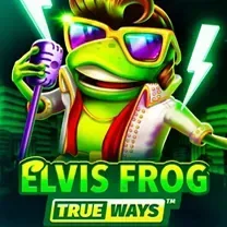 Nn777 Casino Online